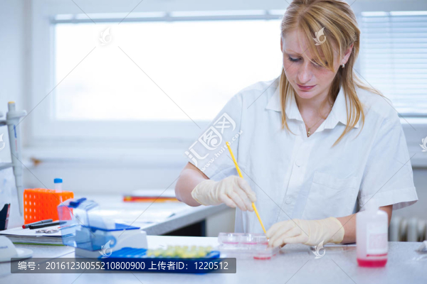 一位女研究員在實驗室做研究的畫像