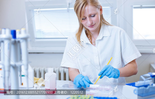 一位女研究員在實(shí)驗(yàn)室做研究的畫像