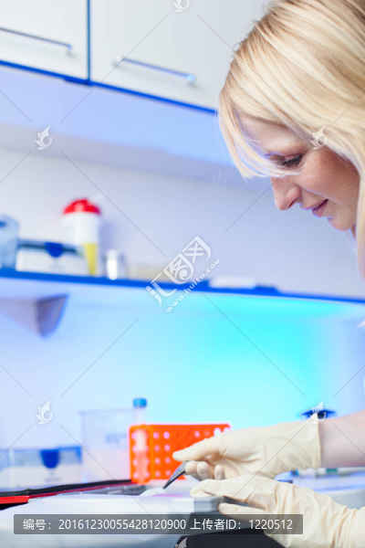 一位女研究員在實(shí)驗(yàn)室做研究的畫像