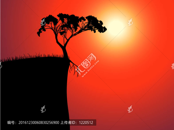 孤獨(dú)的樹在邊緣