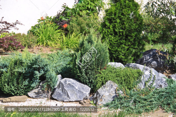 花園里有鮮花和綠色的草坪