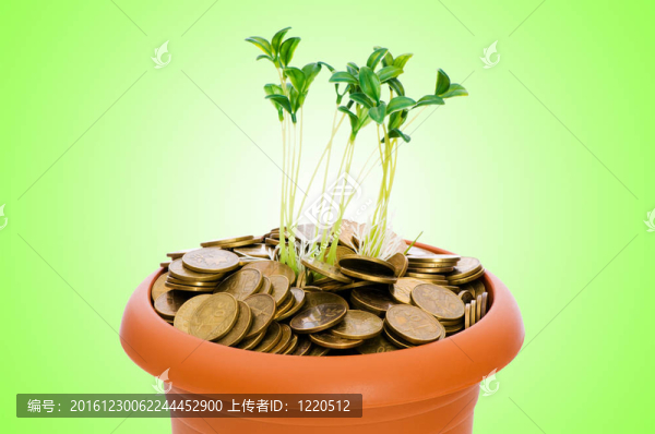從一堆硬幣中成長(zhǎng)的綠色幼苗