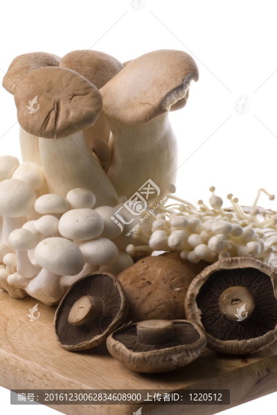 蘑菇中分離
