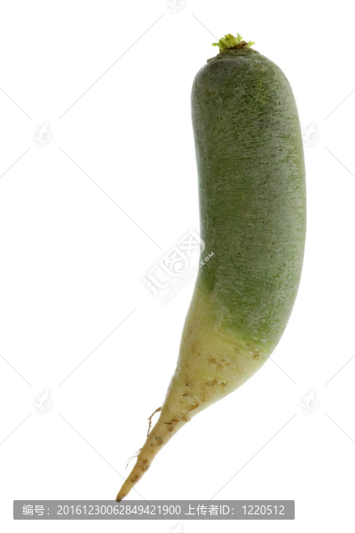 綠蘿卜