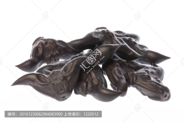 烏菱的堅果