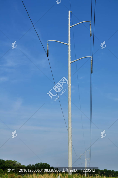電源線