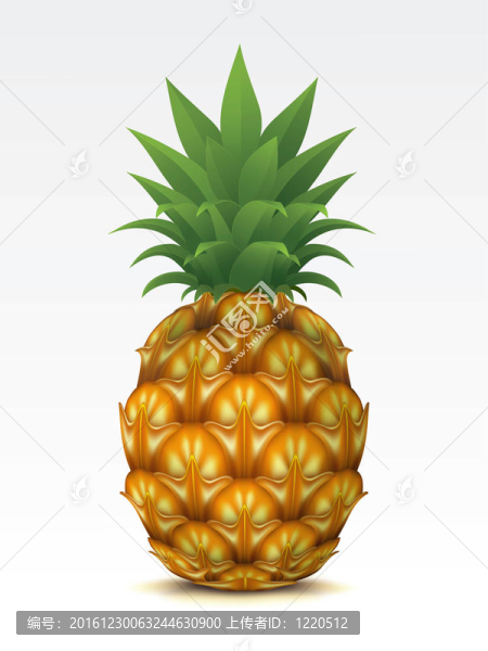 菠蘿