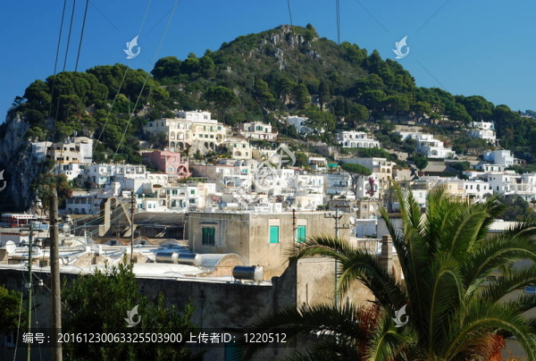 卡普里島