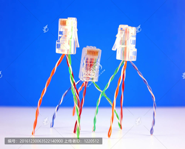 三接頭RJ45網(wǎng)絡(luò)。淺景深。
