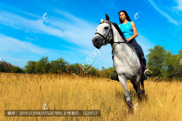 美女騎馬
