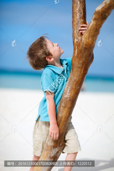 熱帶海灘的小男孩