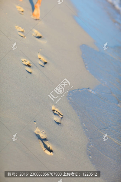 熱帶海灘的腳印