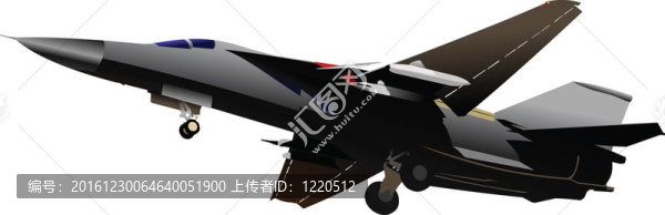 作戰(zhàn)飛機(jī)