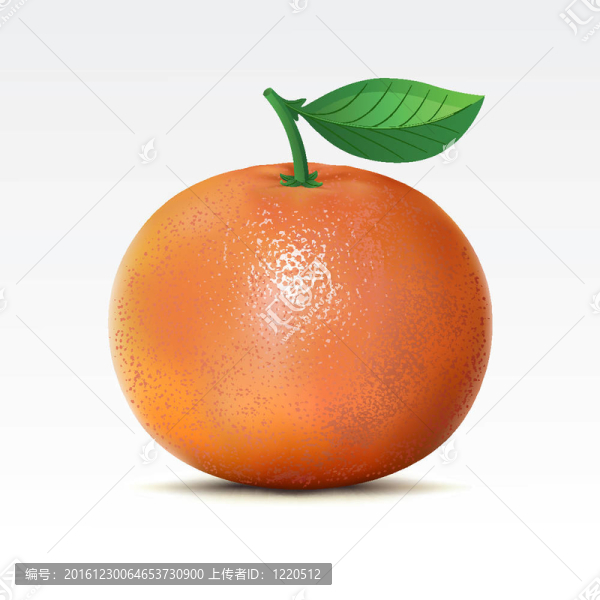 葡萄柚