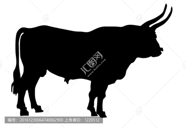 白色背景下牛的圖