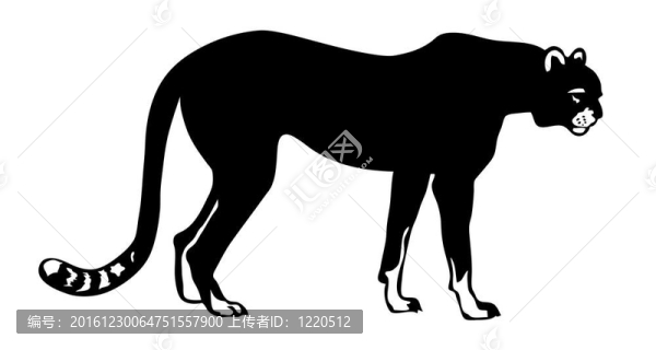 在白色背景的亞洲獵豹的插圖