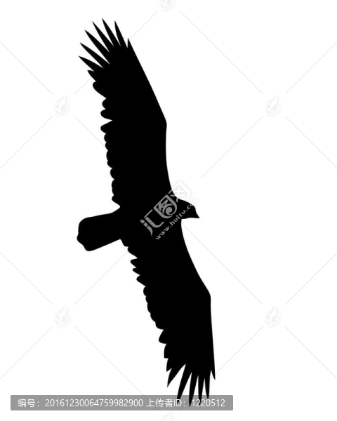 白色背景鳥類放飛圖
