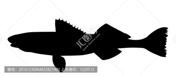白色背景魚的剪影