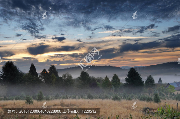美麗的早晨風(fēng)景與霧