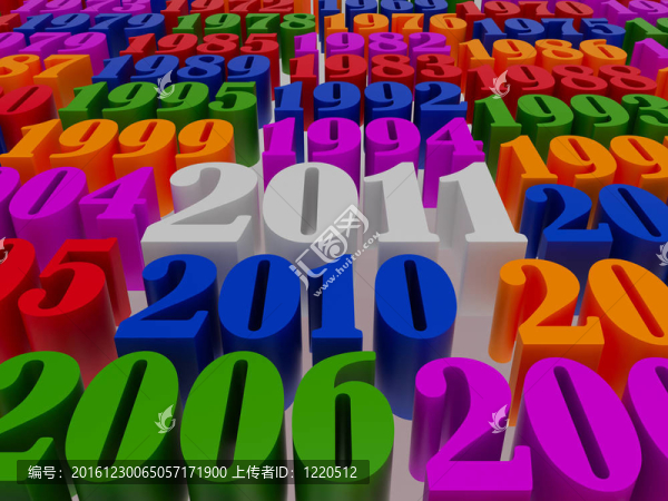 新的2011年