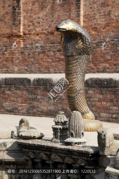 神圣的蛇在Sundari,Chowk；巴德岡；尼泊爾