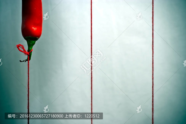 胡椒像氣球一樣在弦上飛翔