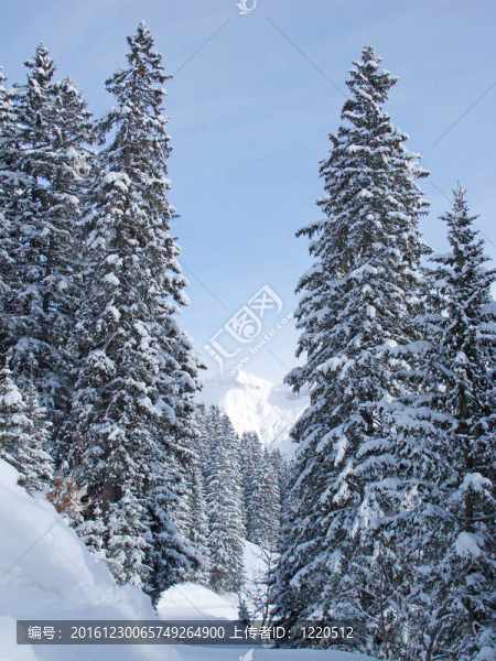 滑雪坡