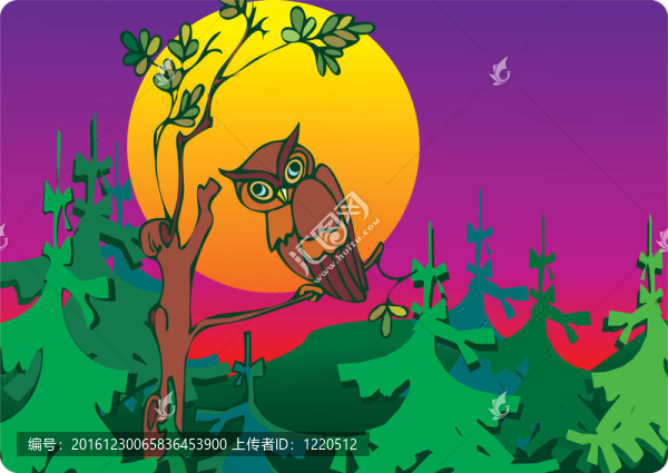 森林中的貓頭鷹。