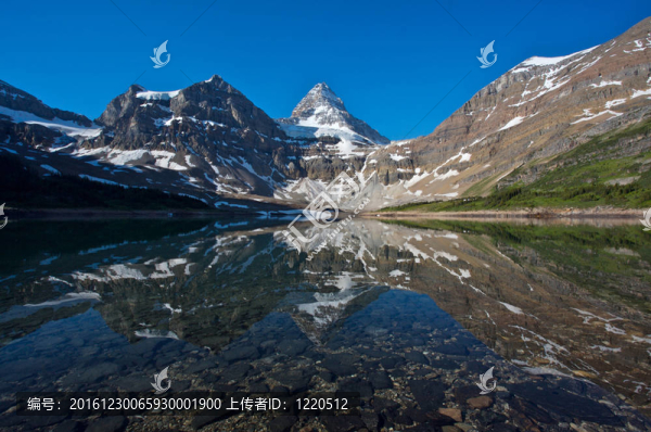 反射阿西尼博因山；加拿大落基山脈