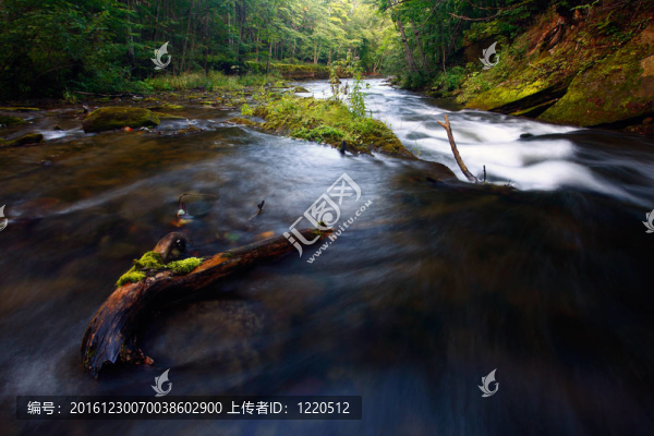 流在樹(shù)林里