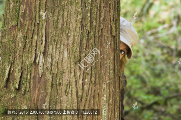 女人看樹