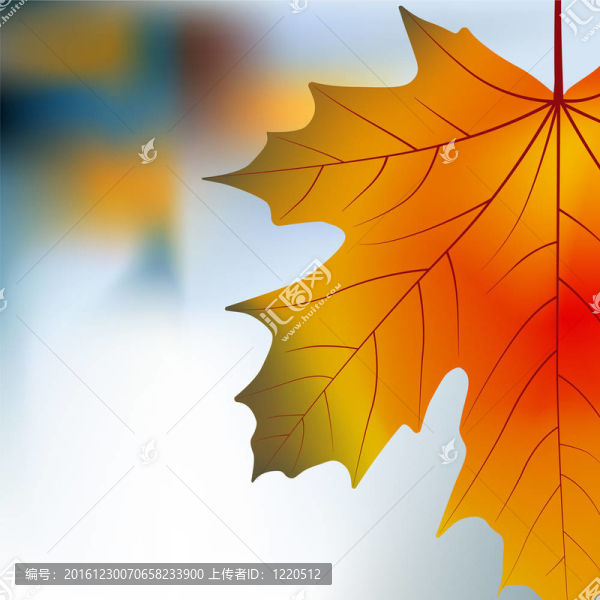 紅黃色的楓葉秋天的背景