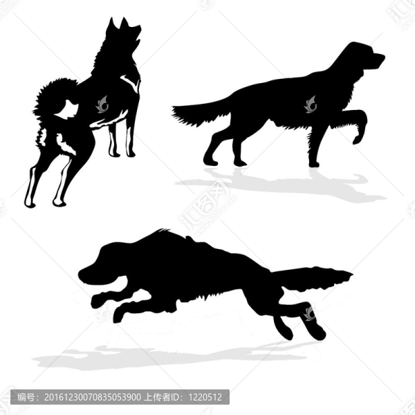 白色背景剪影獵犬