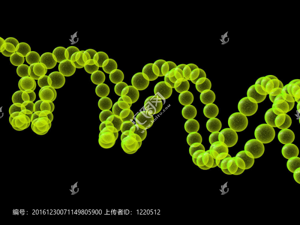 基因在DNA