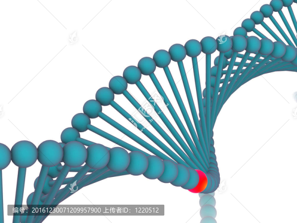 基因在DNA。