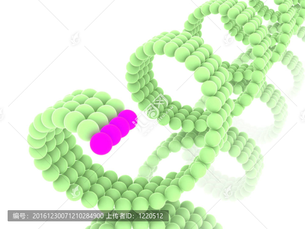 基因在DNA