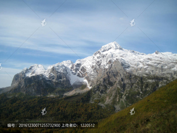 山