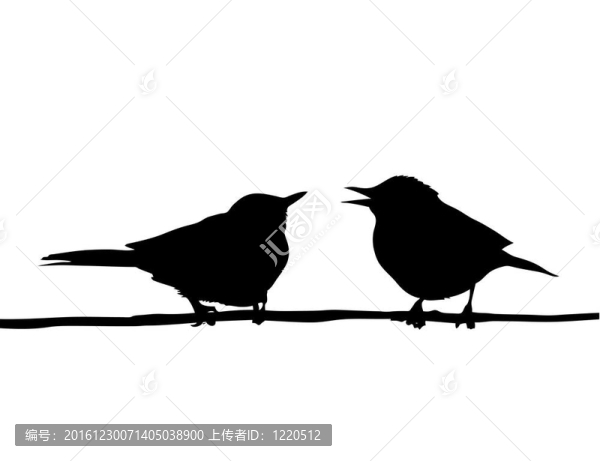 圖鳥坐在樹枝上