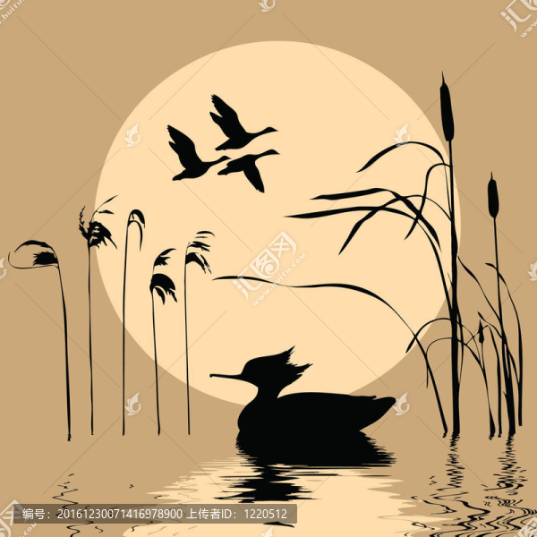 鳥類背景下的鳥畫圖