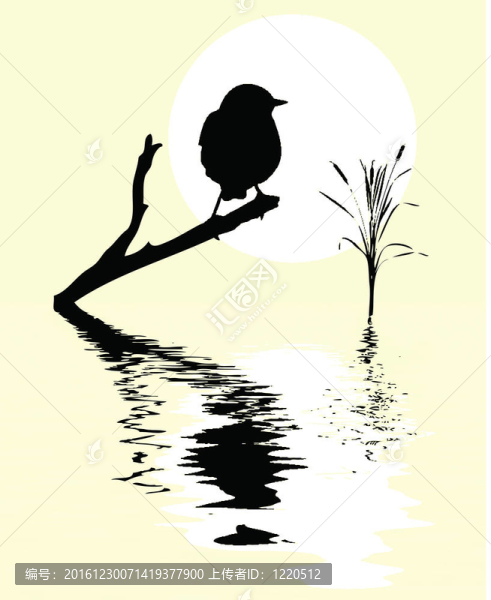 水上樹枝上的小鳥