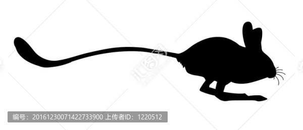 的跳鼠在白色背景的輪廓