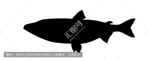 白色背景魚的剪影