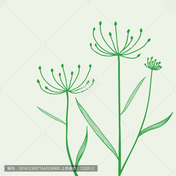 綠色背景植物