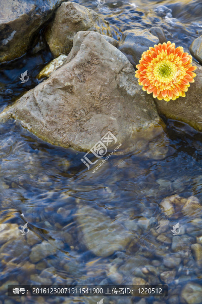 淡水河