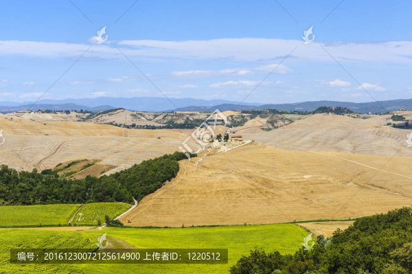 Val,d,Orcia（托斯卡納）景觀