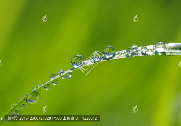 水滴