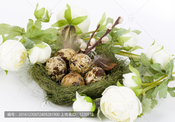 復(fù)活節(jié)鵪鶉蛋花