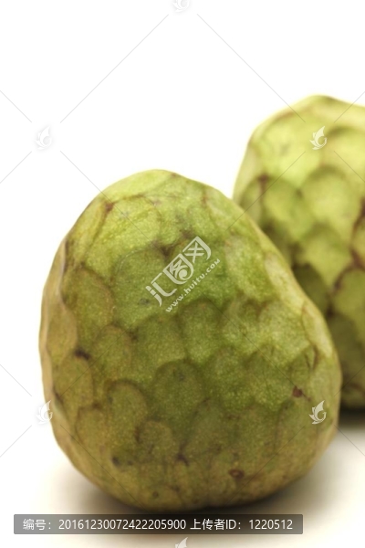 荔枝果實(shí)中分離