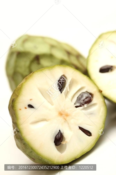 荔枝果實(shí)中分離