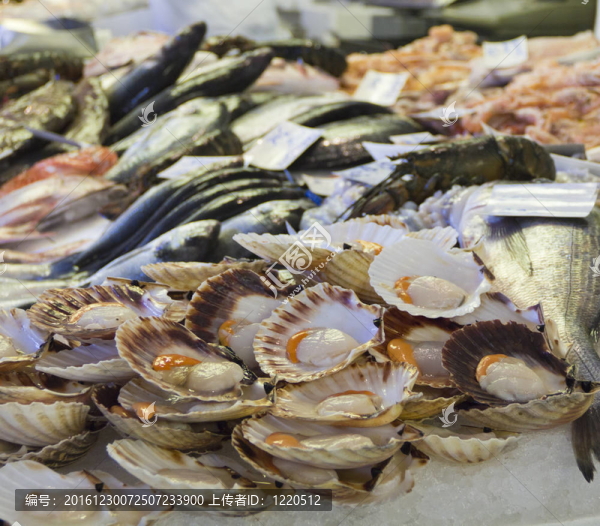 新鮮干貝魚市場